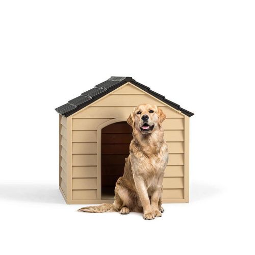 comparatif niche chien dexterieur