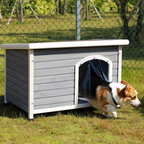 quelle niche pour chien taille m choisir