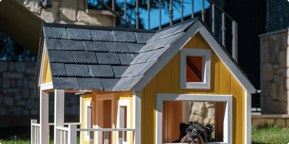 Comment choisir la taille idéale de niche pour un petit chien